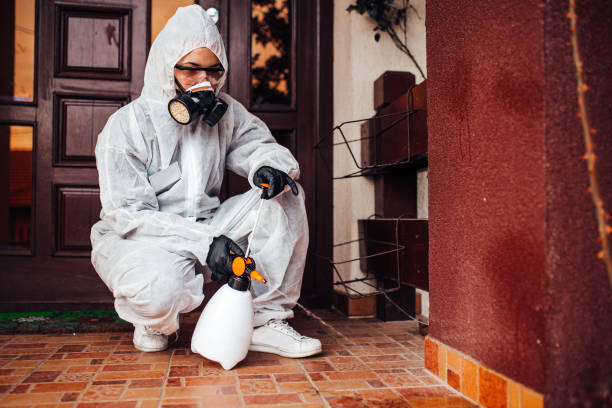 Reliable Wasp Removal contractor in Sugar City, ID by Show Me Pest Control